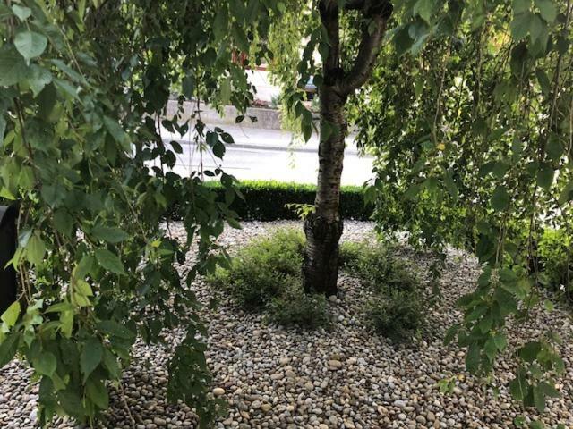 A&B Casa Blanca Apartman Hotel Ветинген Екстериор снимка